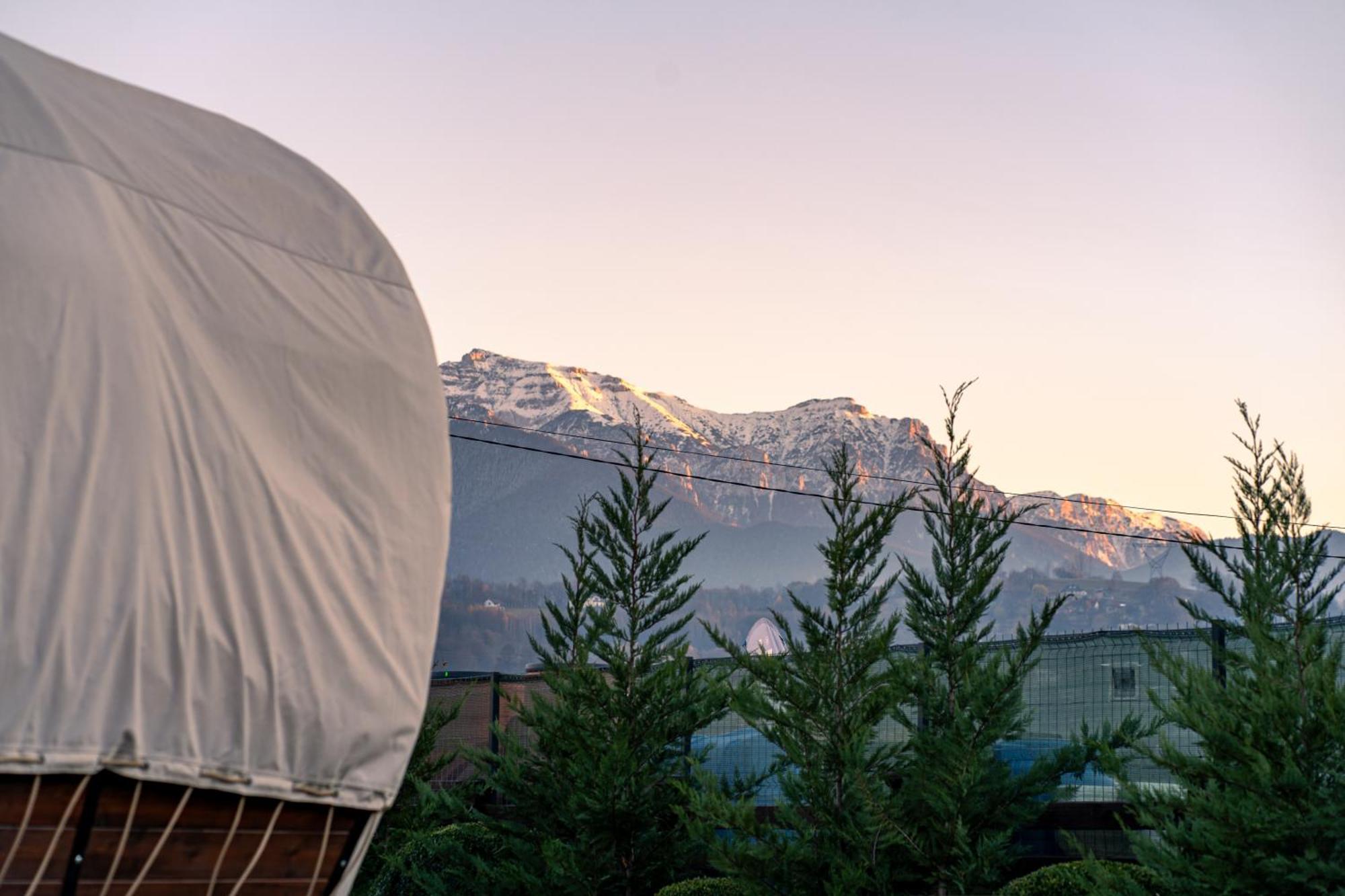 Glamp In Style Pods Resort Bran  Exterior photo
